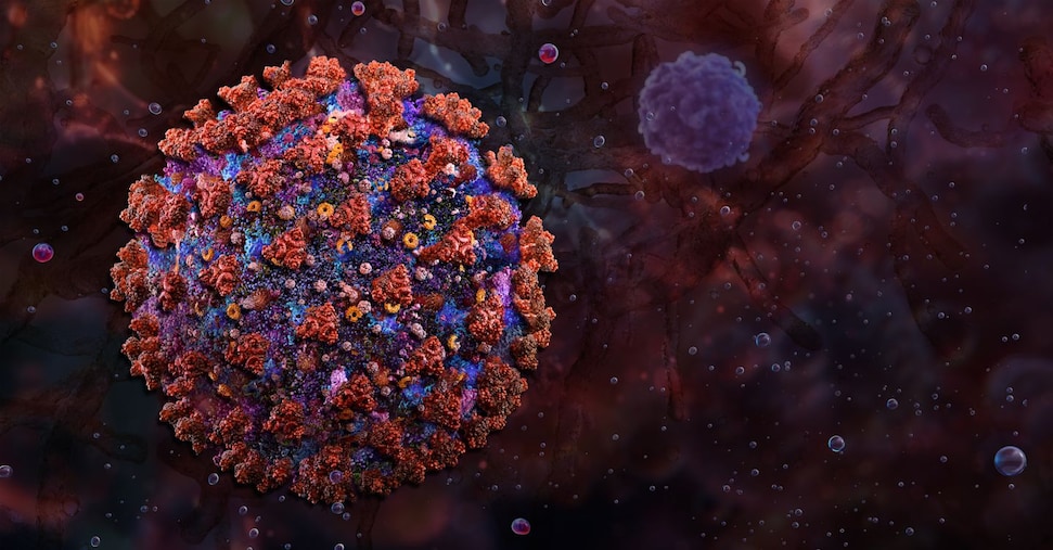 virus shamonda il ministero della salute ad oggi non ci sono casi umani in italia da Ilsole24ore.com virus shamonda il ministero della salute ad oggi non ci sono casi umani in italia