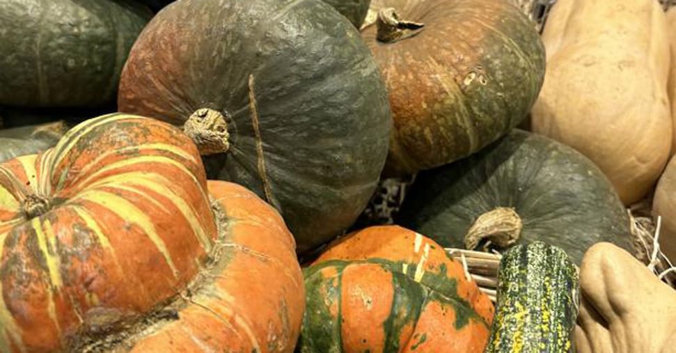 Zucche, non solo Halloween: dopo il record di ottobre la spesa cresce tutto l’anno