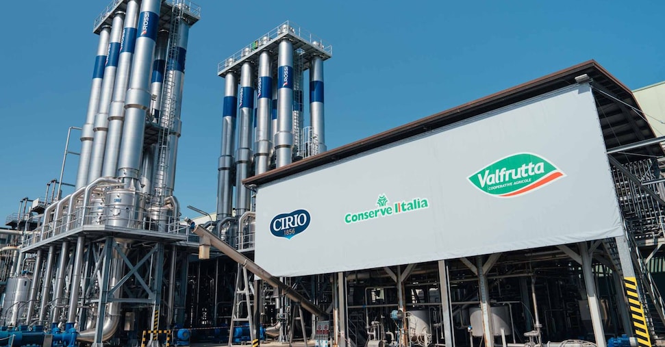 Conserve Italia, liquidazioni record ai soci produttori: 122 milioni di euro (+14,8%) Conserve Italia, liquidazioni record ai soci produttori: 122 milioni di euro (+14,8%)