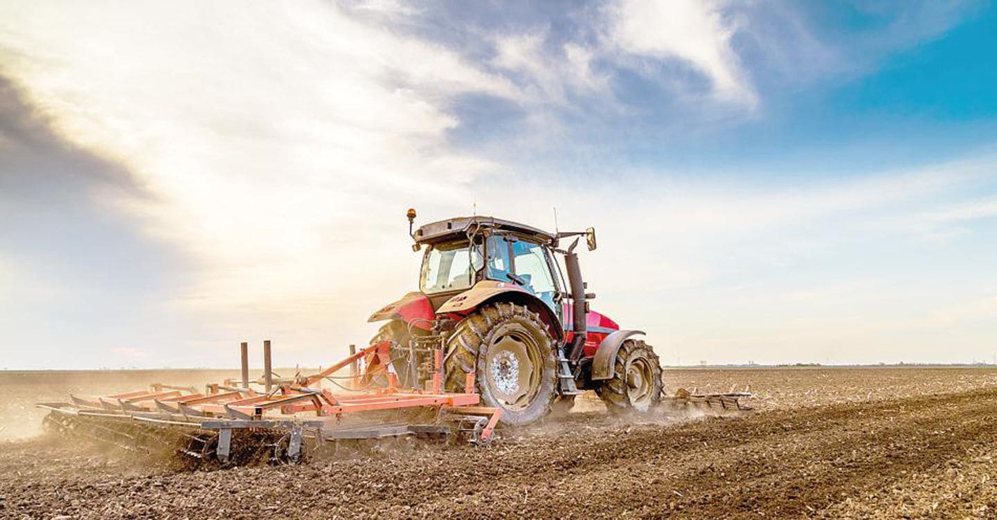 Agricoltura e pesca in Manovra, misure per 1,5 miliardi: ecco dove interverrà il Governo