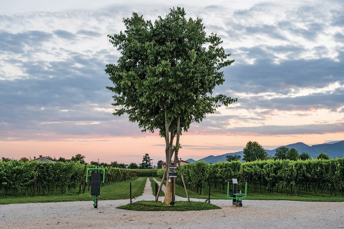 Evento tra le vigne di Villa Sandi