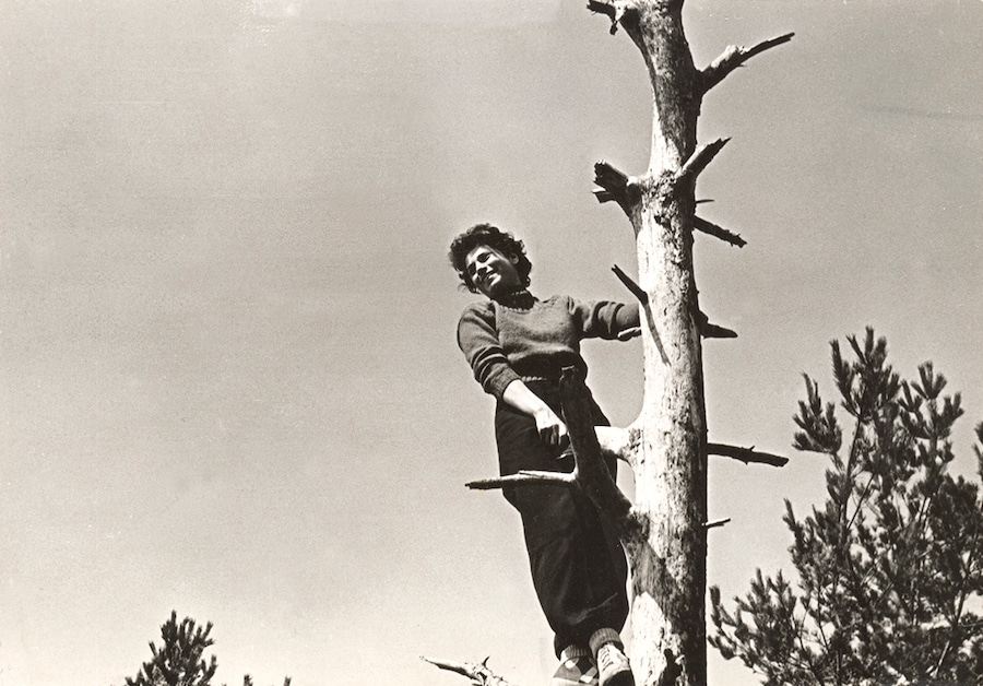 Francia circa 1955