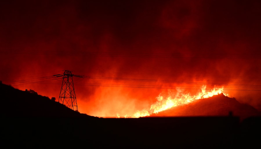 (Photo by Robyn Beck / AFP) (AFP)