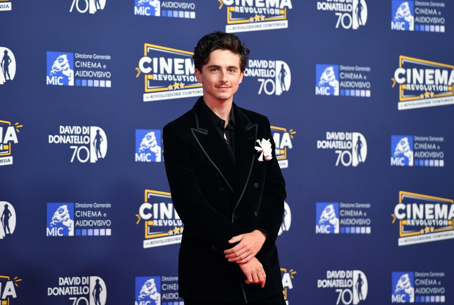 Timothée Chalamet alla cerimonia di assegnazione dei David di Donatello 2025 Roma. (ANSA)