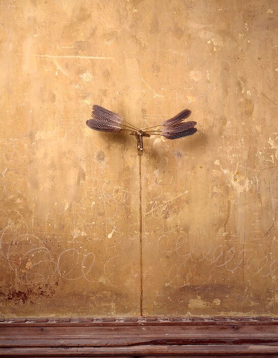 Rebecca Horn Federflügel (Ali di piuma - Feather Wings), 1992 piume, barre di metallo, motore / feathers, metal rods, motor 45 x 19 x 20 cm Collezione / Collection ifa – Institut fūr Auslandsbeziehungen e.V. (Paolo Pellion di Persano © Rebecca Horn, by SIAE 2025)