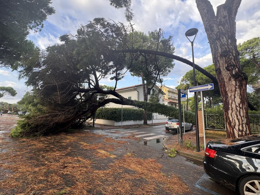 I danni causati dal forte maltempo che ho colpito la scorsa notte a Milano Marittima, 24 agosto 2025. (ANSA/EMILIA ROMAGNA METEO)