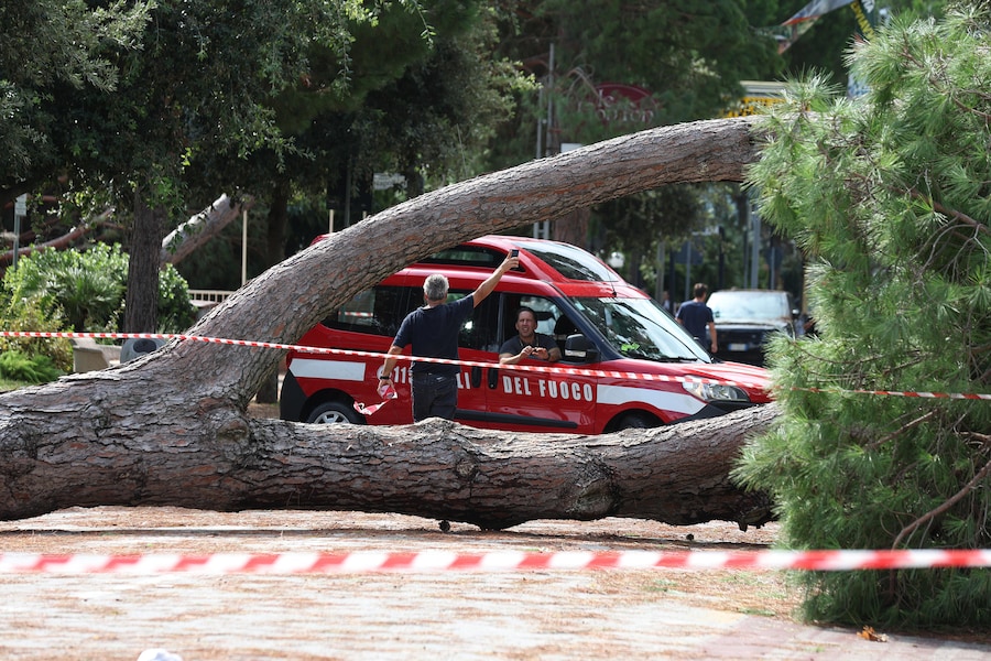 Danni alle auto e strade chiuse in località Milano Marittima, nel comune di Cervia, per via dei diversi alberi caduti durante l'ondata di maltempo che ha investito la costa romagnola, 24 agosto 2025. (ANSA/Fabrizio Zani)