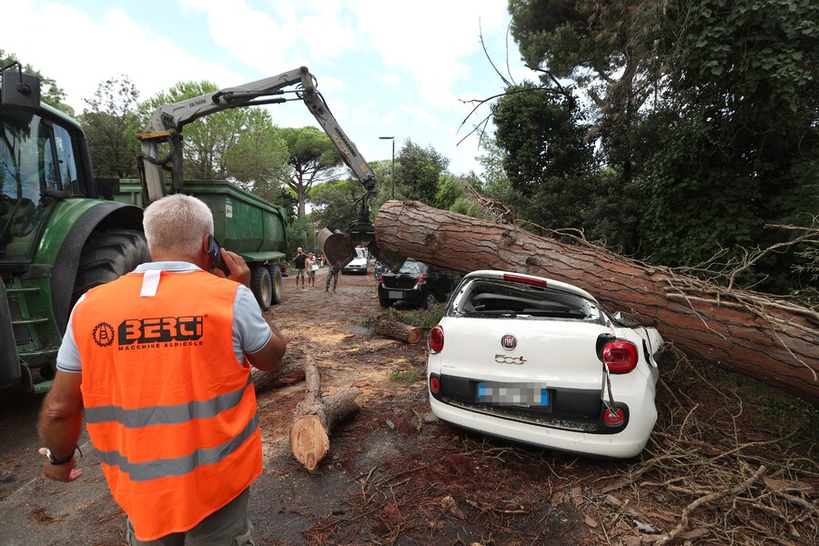 Milano Marittima, nel comune di Cervia, danni alle auto e strade chiuse per via dei diversi alberi caduti durante l'ondata di maltempo che ha investito la costa romagnola, 24 agosto 2025. (ANSA/Fabrizio Zani)