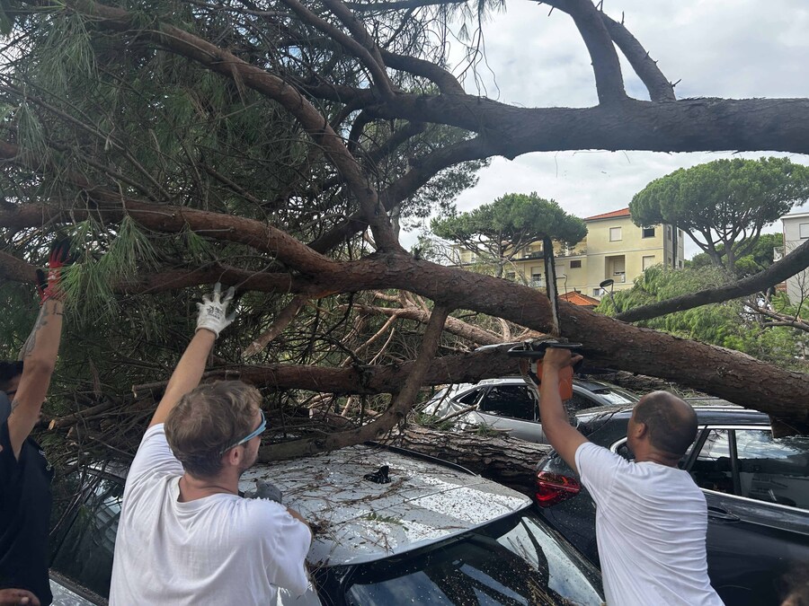 Milano Marittima (Cervia) - Una tromba d'aria colpisce la costa della romagna decine gli alberi crollati per la forza del vento. 24 agosto 2025 (Italy Photo Press - World Copyright - Alessio Marini/Gruppo Editoriale LiveMedia)