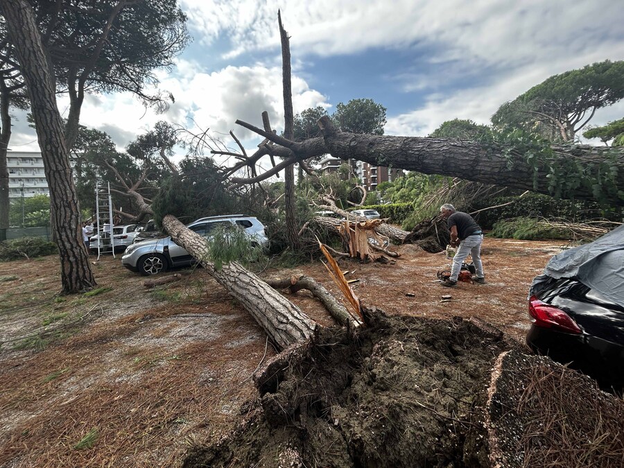 Milano Marittima (Cervia) - Una tromba d'aria colpisce la costa della romagna, decine gli alberi crollati per la forza del vento, 24 agosto 2025. (Foto IPP - Alessio Marini/Gruppo Editoriale LiveMedia - Italy Photo Press - World Copyright)