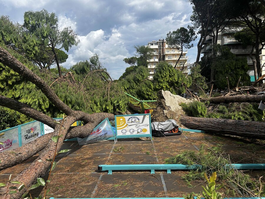 Milano Marittima (Cervia)- Una tromba d'aria colpisce la costa della romagna decine di alberi crollati per la forza del vento, 24 agosto 2025. (Foto IPP - Alessio Marini/Gruppo Editoriale LiveMedia / Italy Photo Press - World Copyright)