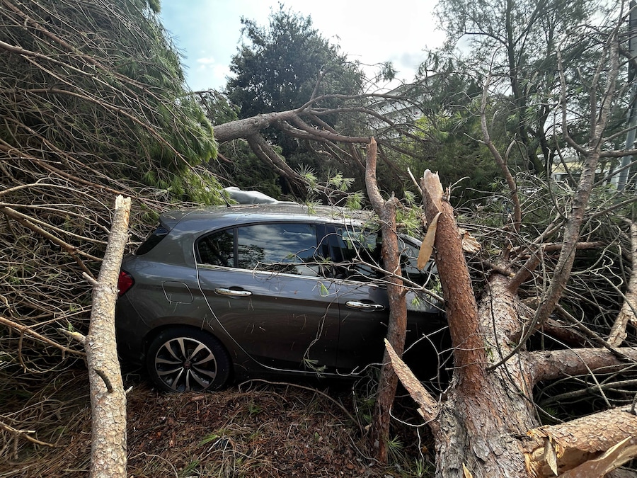Milano Marittima (Cervia) - Una tromba d'aria colpisce la costa della romagna decine di alberi crollati per la forza del vento, 24 agosto 2025. (Foto IPP - Alessio Marini/Gruppo Editoriale LiveMedia / Italy Photo Press - World Copyright)