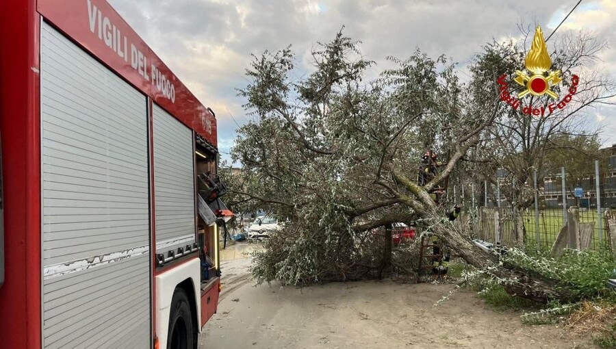 I danni del temporale che ha colpito la riviera romagnola nella notte. Interventi dei vigili del fuoco per piante cadute sulle linee elettriche, sulla sede stradale e su un bungalow in un campeggio a Cesenatico, allagamenti di sottopassi e garage interrati. Cesenatico, 24 agosto 2025 (ANSA/UFFICIO STAMPA VIGILI DEL FUOCO)