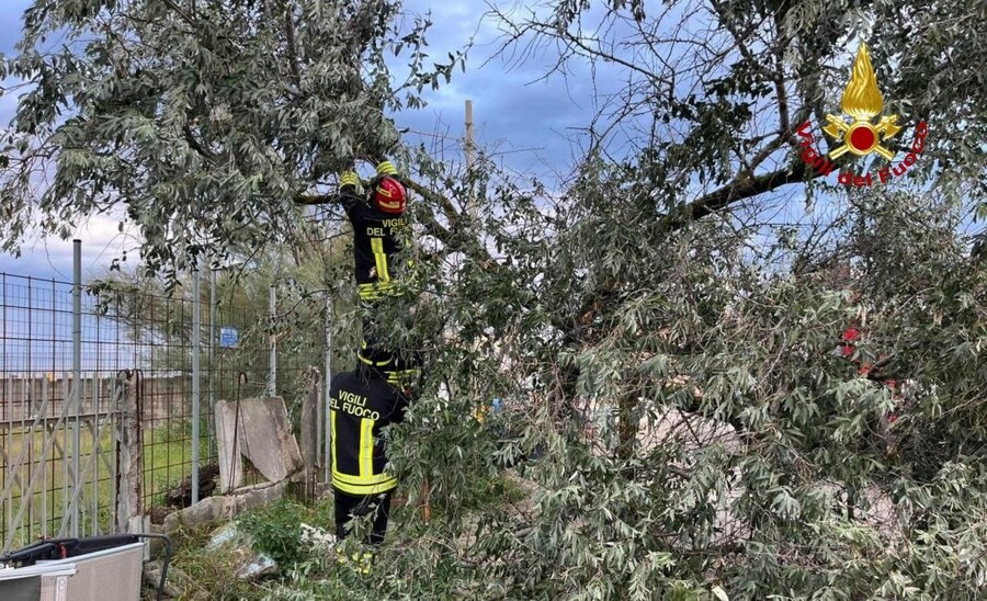 I danni del temporale che ha colpito la riviera romagnola nella notte. Interventi dei vigili del fuoco per piante cadute sulle linee elettriche, sulla sede stradale e su un bungalow in un campeggio a Cesenatico, allagamenti di sottopassi e garage interrati. Cesenatico, 24 agosto 2025 (ANSA / UFFICIO STAMPA VIGILI DEL FUOCO)