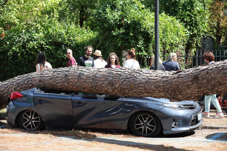 Danni alle auto e strade chiuse in località Milano Marittima, nel comune di Cervia, per via dei diversi alberi caduti durante l'ondata di maltempo che ha investito la costa romagnola, 24 agosto 2025. (ANSA/Fabrizio Zani)