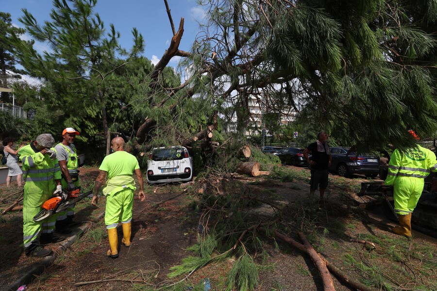 Danni alle auto e strade chiuse in località Milano Marittima, nel comune di Cervia, per via dei diversi alberi caduti durante l'ondata di maltempo che ha investito la costa romagnola, 24 agosto 2025. (ANSA/Fabrizio Zani)