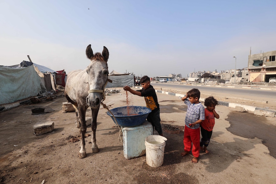 Un bambino palestinese gioca con il mangime per cavalli nel campo profughi di Nuseirat, nella Striscia di Gaza centrale, il 9 novembre 2025, dopo la tregua siglata dagli Stati Uniti che ha fermato la guerra di due anni. La prima fase dell'accordo per il cessate il fuoco a Gaza, mediato il mese scorso dal Presidente degli Stati Uniti, ha aperto la strada allo scambio di ostaggi israeliani e prigionieri palestinesi. (Foto di Eyad Baba / AFP) (AFP)