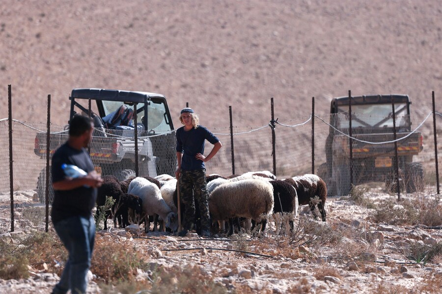 Un proprietario terriero palestinese osserva un colono israeliano che pascola le sue pecore su terra palestinese, nel villaggio di Umm al-Kheir, situato vicino all'insediamento ebraico israeliano di Karmel, a sud del villaggio di Yatta, a circa 15 chilometri a sud della città di Hebron, nella Cisgiordania occupata, il 9 novembre 2025. Almeno 1.001 palestinesi, compresi i militanti, sono stati uccisi in Cisgiordania dalle forze israeliane o dai coloni dall'inizio della guerra a Gaza nell'ottobre 2023, secondo il ministero della Sanità palestinese. (Foto di HAZEM BADER / AFP) (AFP)