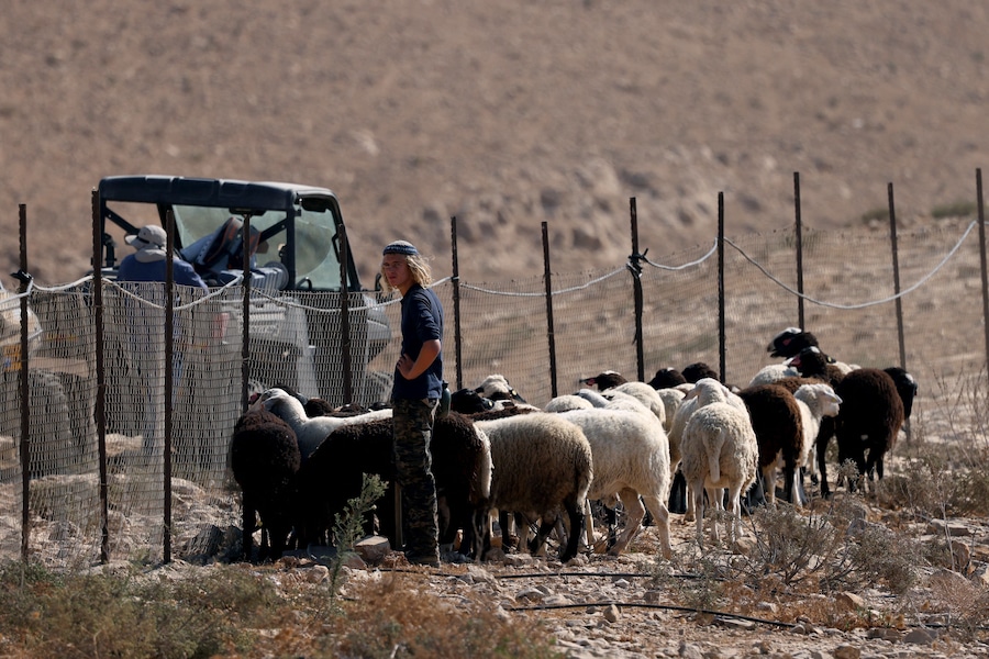 Un proprietario terriero palestinese osserva un colono israeliano che pascola le sue pecore su terra palestinese, nel villaggio di Umm al-Kheir, situato vicino all’insediamento ebraico israeliano di Karmel, a sud del villaggio di Yatta, a circa 15 chilometri a sud della città di Hebron, nella Cisgiordania occupata, il 9 novembre 2025. Almeno 1.001 palestinesi, compresi i militanti, sono stati uccisi in Cisgiordania dalle forze israeliane o dai coloni dall’inizio della guerra a Gaza nell’ottobre 2023, secondo il ministero della Sanità palestinese. (Foto di HAZEM BADER / AFP) (AFP)