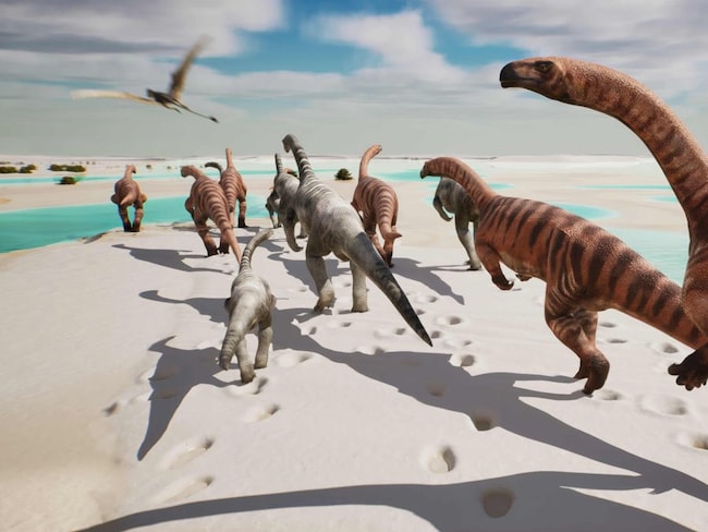Parco dello Stelvio, scoperte migliaia di orme di dinosauro