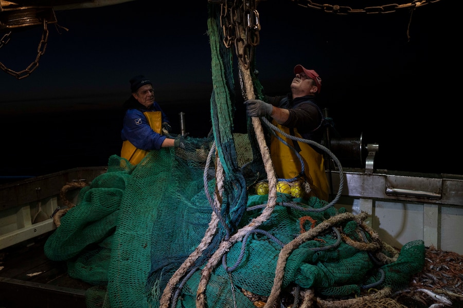I fratelli Lombardo, pescatori di lunga data di Trapani, aprono le loro reti a strascico. Trapani, Sicilia, 2025