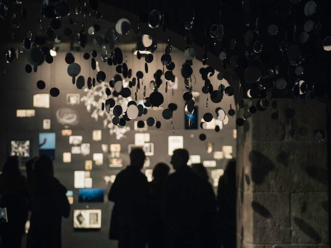 Mercè Rodoreda: un bosque. Foto della mostra al Cccb di Barcellona.