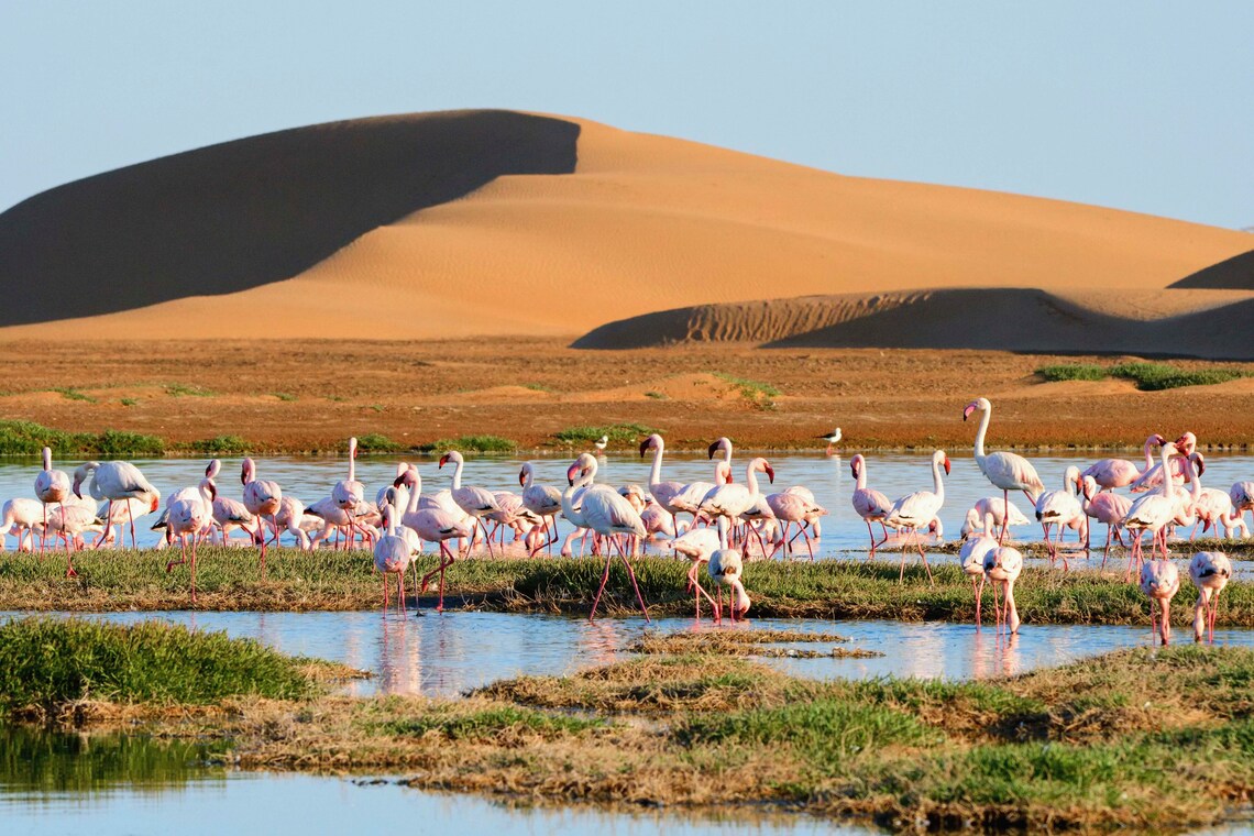 Namibia, from Walvis Bay - Namib Naukluft National Park