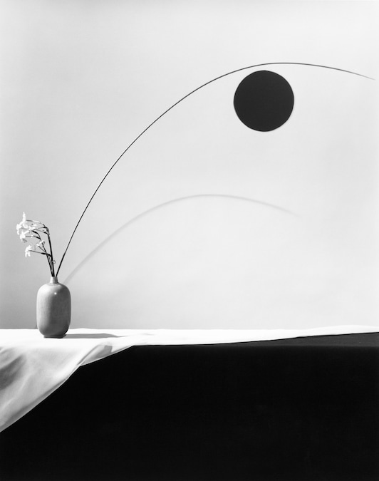 Fiori, 1983 © Robert Mapplethorpe Foundation.
