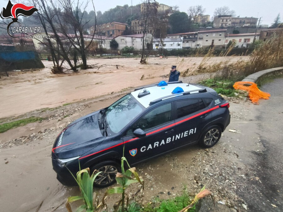 L'ondata di maltempo ha provocato l'esondazione del fiume Busento in località Molino Irto, al confine tra Dipignano e Cosenza, danneggiando diverse auto. ANSA/Carabinieri Forestali (ANSA)
