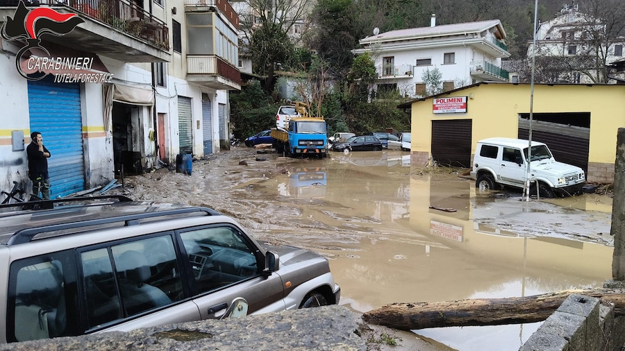 L'ondata di maltempo ha provocato l'esondazione del fiume Busento in località Molino Irto, al confine tra Dipignano e Cosenza, danneggiando diverse auto. ANSA/Carabinieri Forestali (ANSA)