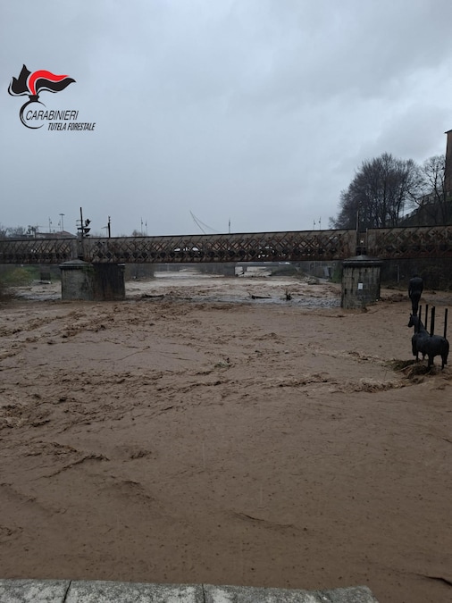 L'esondazione del fiume Busento in località Molino Irto. ANSA/Carabinieri Forestali (ANSA)