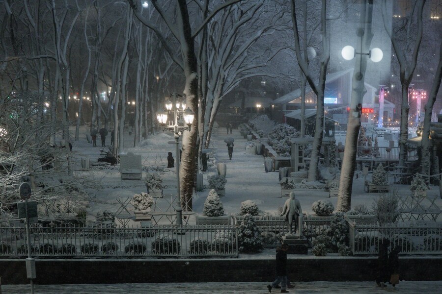 Bryant Park durante la bufera di neve a New York. (EPA)