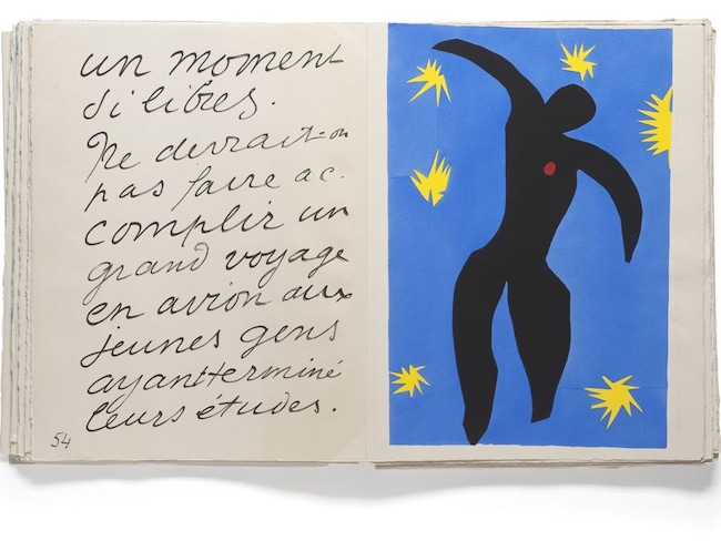 La mostra BIRDS al Mauritshuis