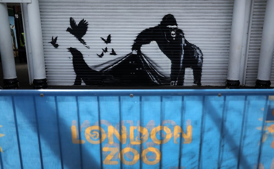 La nona opera d'arte di Banksy dedicata agli animali, confermata allo Zoo di Londra a Camden, nella zona nord di Londra, Gran Bretagna, il 13 agosto 2024. Si tratta della nona opera dedicata agli animali che l'artista britannico ha realizzato in nove giorni in vari punti di Londra. EPA/ANDY RAIN (EPA)
