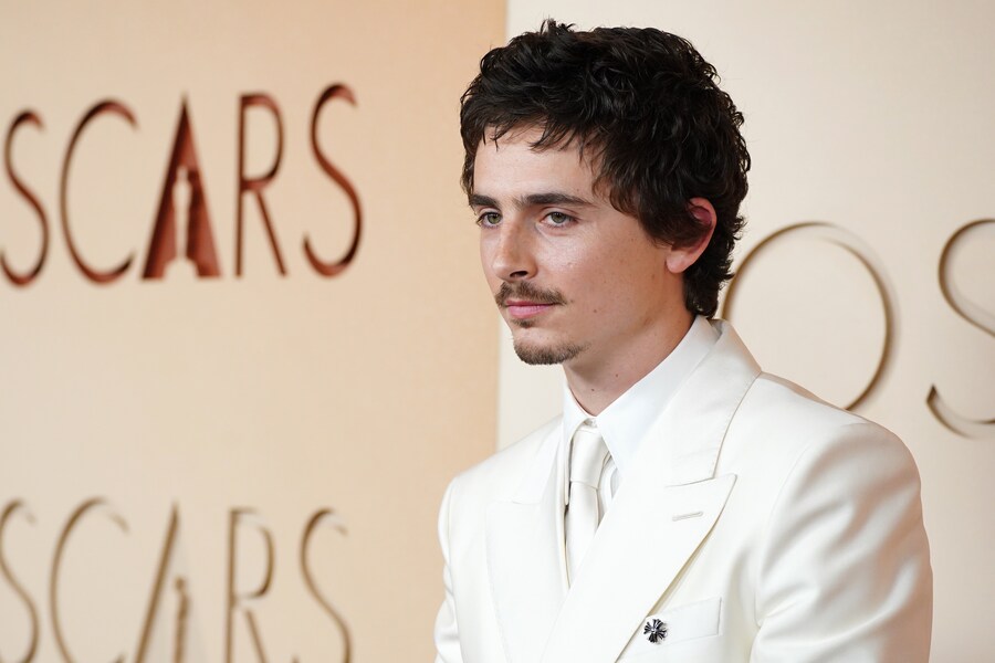 Timothee Chalamet. (APN)
