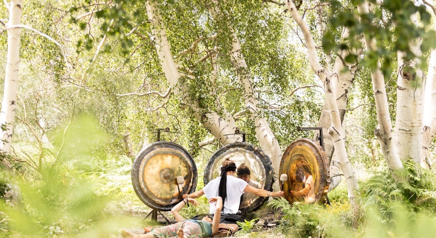 MeteoriteGong Mount Ena, by Pauline Fabry