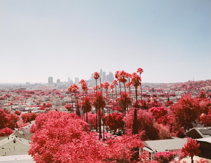 © Ben Brooks, United Kingdom, 3rd Place, Professional Competition, Creative, 2026 Sony World Photography Awards