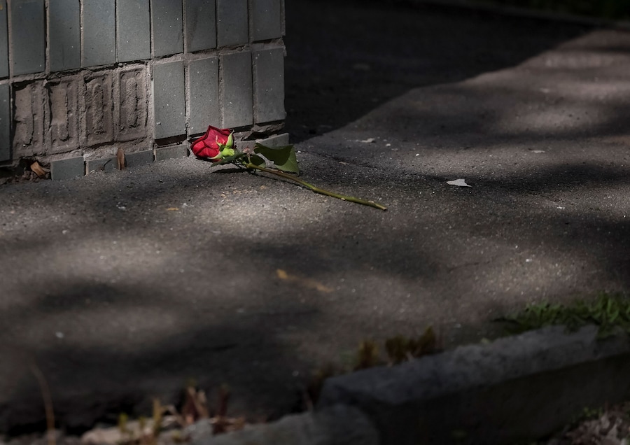 Un fiore giace a terra su un marciapiede di Kiev, in Ucraina (REUTERS)