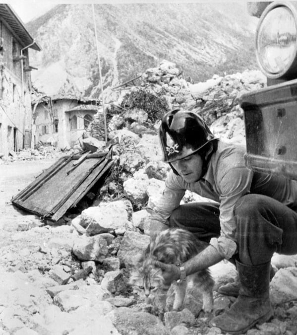 Maggio 1976, un gatto rimasto sotto le macerie per una settimana viene salvato da un vigile del fuoco (Ansa)