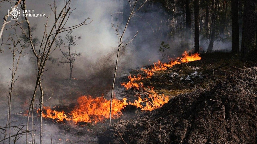 In questa foto fornita dal Servizio di emergenza ucraino, un incendio boschivo divampa nella zona di esclusione intorno alla centrale nucleare di Cernobyl, in Ucraina, venerdì 8 maggio 2026. (Servizio di emergenza ucraino via AP) (APN)