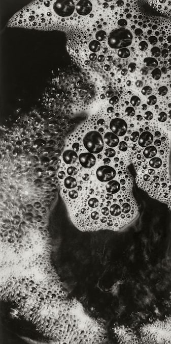Hilla Becher: prime opere - Autore: Hilla Becher Titolo: Senza titolo (macrofotografia di schiuma) #: PSD-BHB-2024-078 Anno: c. 1960 Tecnica: Stampa ai sali d’argento (Copyright: Estate Bernd & Hilla Becher, rappresentato da Max Becher Courtesy Die Photographische Sammlung/SK Stiftung Kultur – Bernd & Hilla Becher Archiv, Colonia)