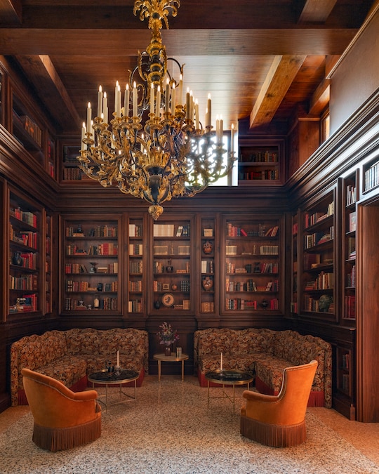 Moyen-VNZ – Bibliothèque ©VincentLeroux.jpg