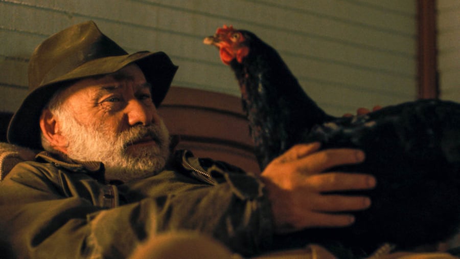 Hen