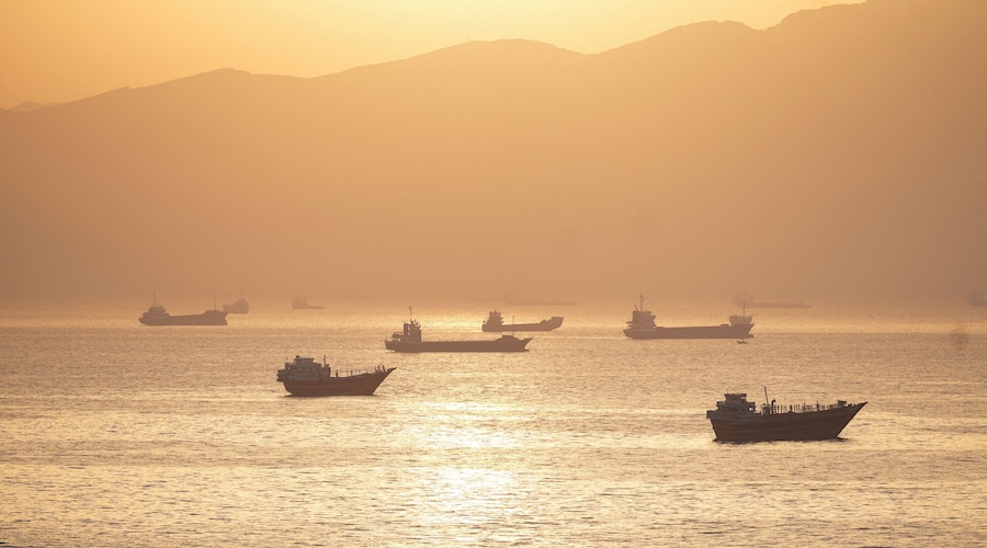 Navi ancorate nello Stretto di Hormuz, viste da Musandam, Oman, 30 maggio 2026. (REUTERS)