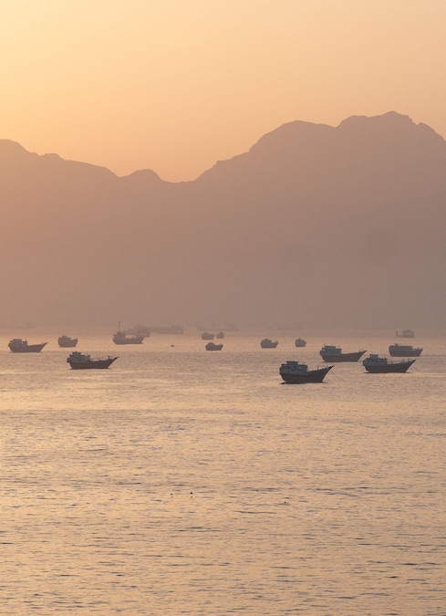 Navi ancorate nello Stretto di Hormuz, viste da Musandam, Oman, 30 maggio 2026. (REUTERS)