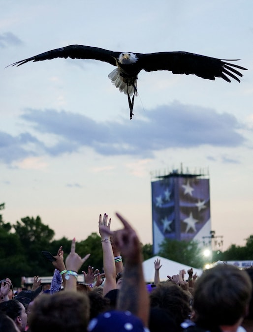 Lincoln, l'aquila calva, sorvola il pubblico durante la cerimonia di pesatura dei combattenti che partecipano all'UFC Freedom 250, all'Ellisse vicino alla Casa Bianca, a Washington, D.C., Stati Uniti, il 13 giugno 2026. REUTERS/Nathan Howard (REUTERS)