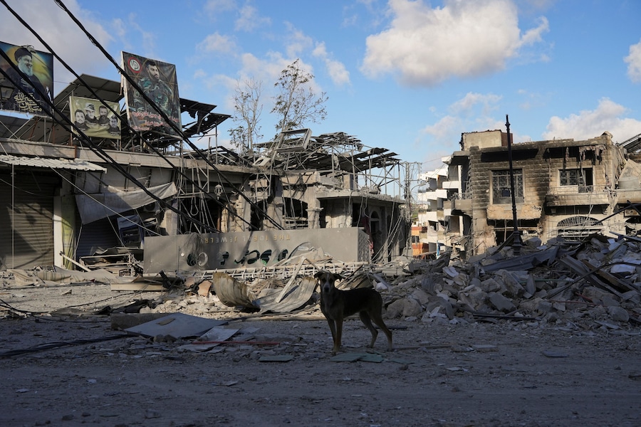 Un cane si trova vicino alle macerie dopo i bombardamenti israeliani a Nabatieh, in Libano (REUTERS)