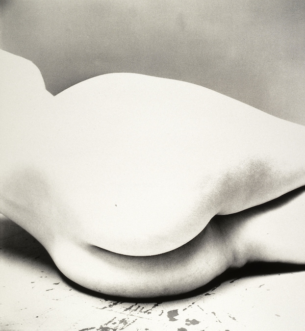 Nude n°55, New York, 1949, Collection Maison Européenne de la Photographie, Paris, © The Irving Penn Foundation
