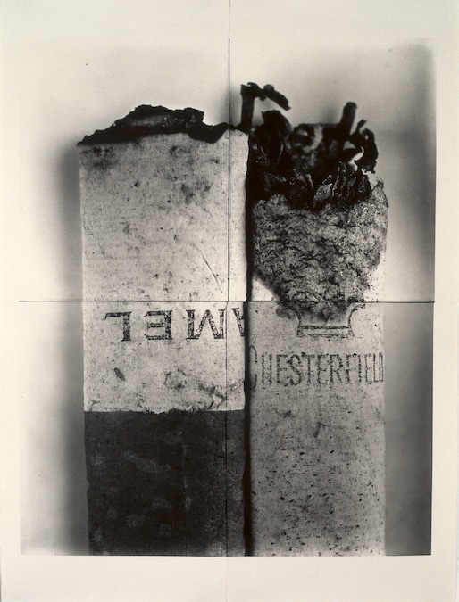Cigarette n°37, New York, 1972 Collection Maison Européenne de la Photographie, Paris. © The Irving Penn Foundation