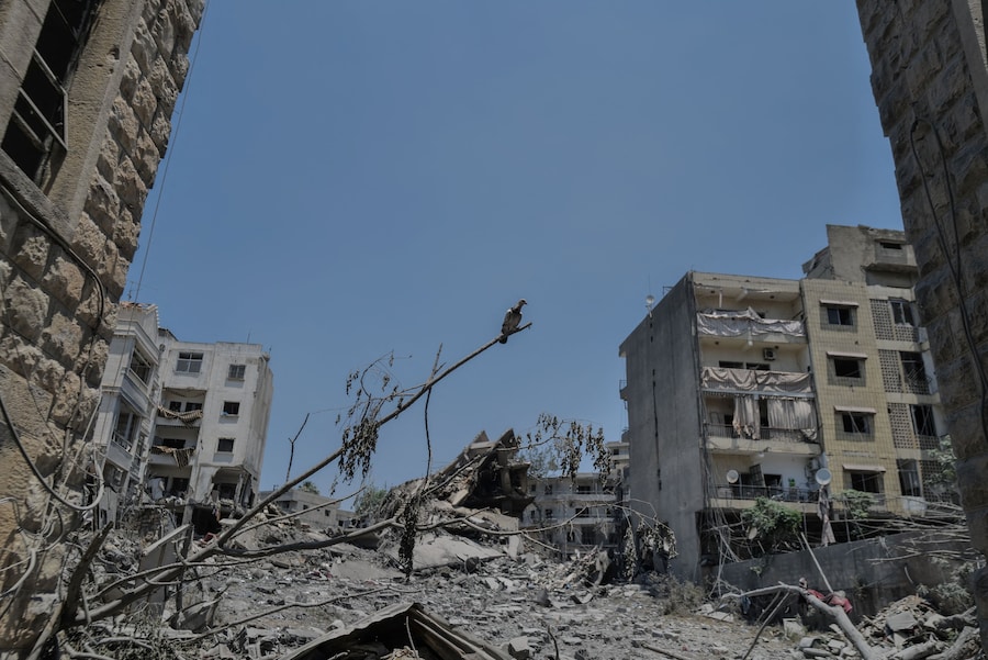 Un piccione è appollaiato su un ramo vicino ad alcuni edifici residenziali danneggiati dai raid israeliani a Nabatieh, in Libano (REUTERS)